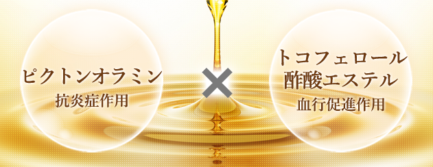 2種類の有効成分の説明